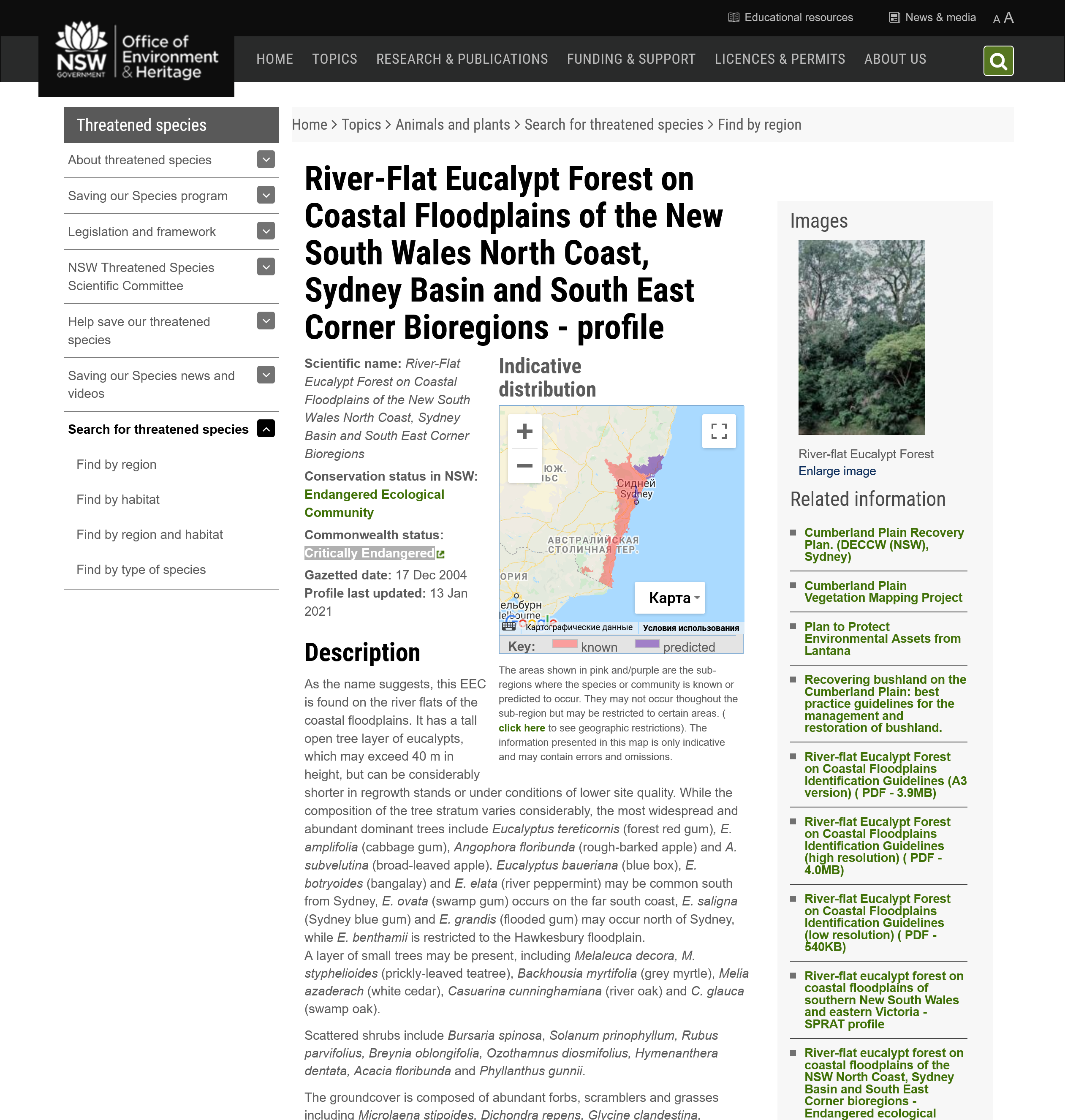 River-Flat Eucalypt Forest on Coastal Floodplains of the New South Wales North Coast, Sydney Basin and South East Corner Bioregions 